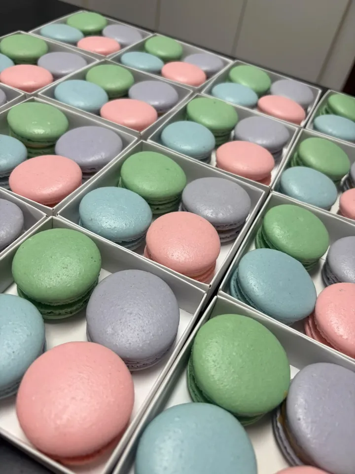Caixas com quatro macarons coloridos: verde, azul, rosa e lilás